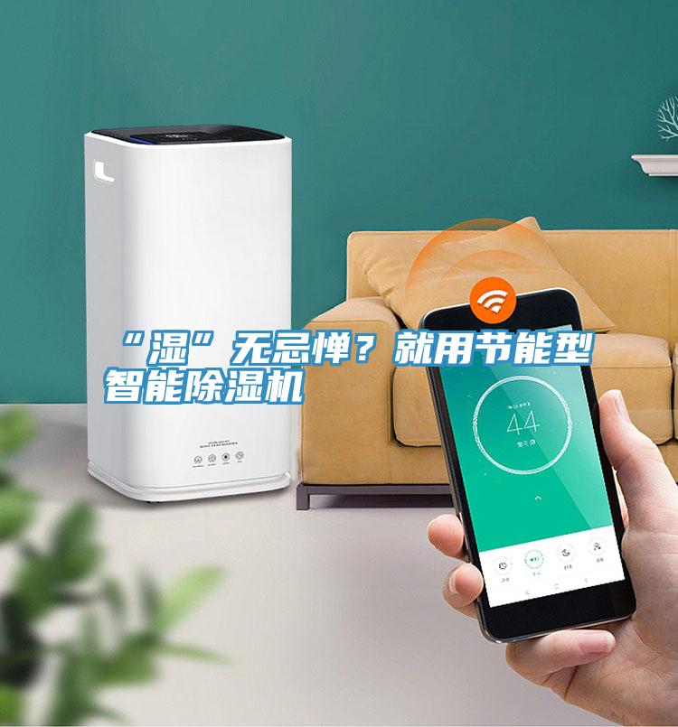 “濕”無忌憚？就用節(jié)能型智能除濕機