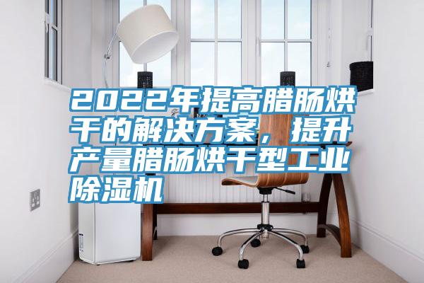 2022年提高臘腸烘干的解決方案，提升產量臘腸烘干型工業(yè)除濕機