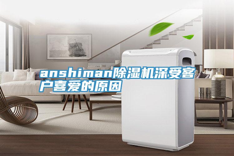 anshiman除濕機(jī)深受客戶喜愛的原因