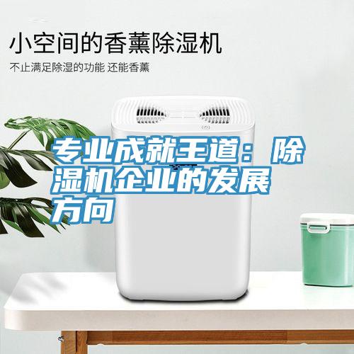 專業(yè)成就王道：除濕機(jī)企業(yè)的發(fā)展方向