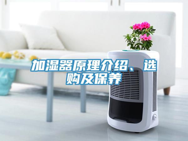 加濕器原理介紹、選購(gòu)及保養(yǎng)