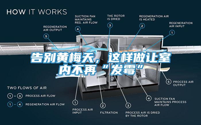 告別黃梅天，這樣做讓室內不再“發(fā)霉”