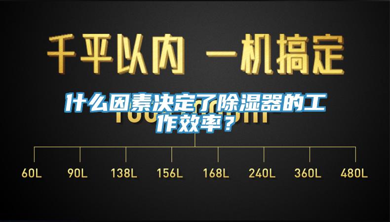 什么因素決定了除濕器的工作效率？