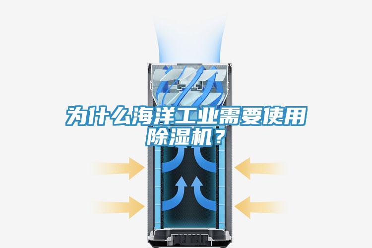 為什么海洋工業(yè)需要使用除濕機？