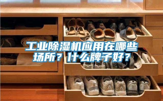 工業(yè)除濕機應(yīng)用在哪些場所？什么牌子好？