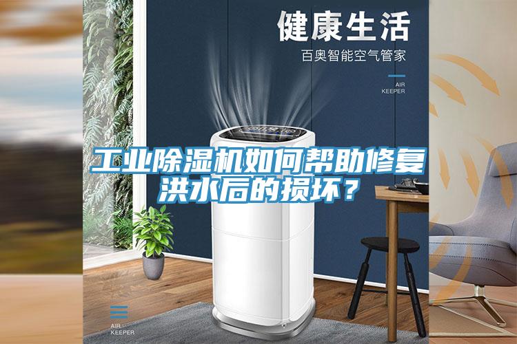 工業(yè)除濕機如何幫助修復洪水后的損壞？