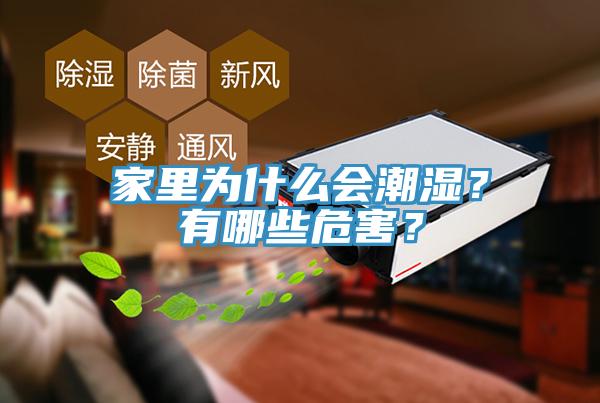 家里為什么會(huì)潮濕？有哪些危害？