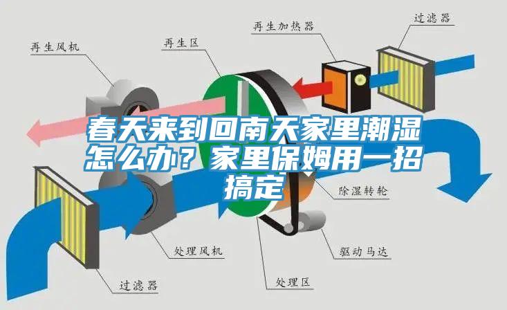 春天來到回南天家里潮濕怎么辦？家里保姆用一招搞定