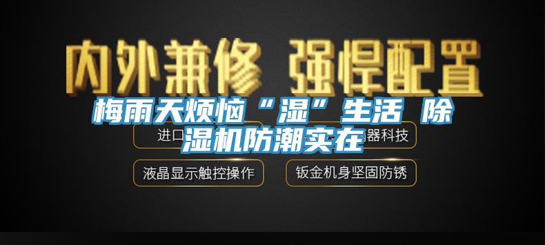 梅雨天煩惱“濕”生活 除濕機防潮實在