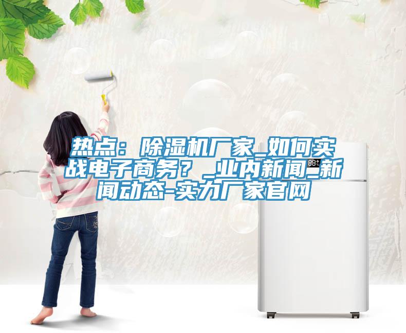 熱點：除濕機廠家_如何實戰(zhàn)電子商務？_業(yè)內(nèi)新聞_新聞動態(tài)-實力廠家官網(wǎng)