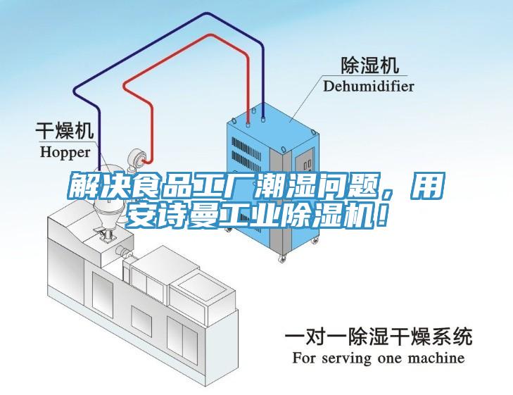 解決食品工廠潮濕問題，用安詩曼工業(yè)除濕機！