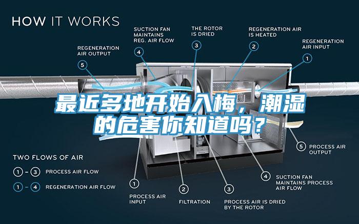 最近多地開始入梅，潮濕的危害你知道嗎？