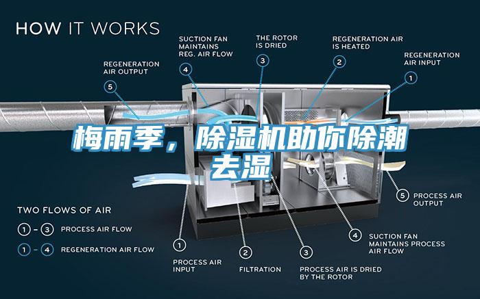 梅雨季，除濕機助你除潮去濕