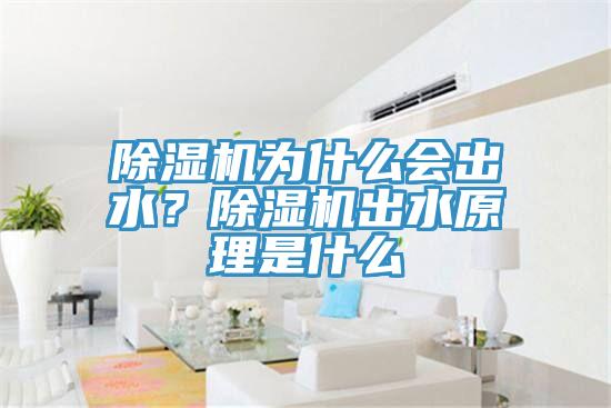 除濕機(jī)為什么會(huì)出水？除濕機(jī)出水原理是什么