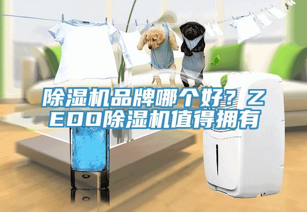 除濕機(jī)品牌哪個好？ZEDO除濕機(jī)值得擁有