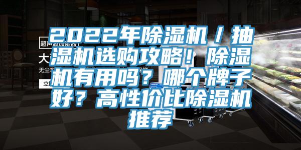 2022年除濕機(jī)／抽濕機(jī)選購(gòu)攻略！除濕機(jī)有用嗎？哪個(gè)牌子好？高性價(jià)比除濕機(jī)推薦