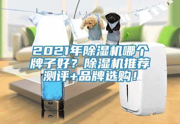 2021年除濕機(jī)哪個(gè)牌子好？除濕機(jī)推薦測(cè)評(píng)+品牌選購(gòu)！