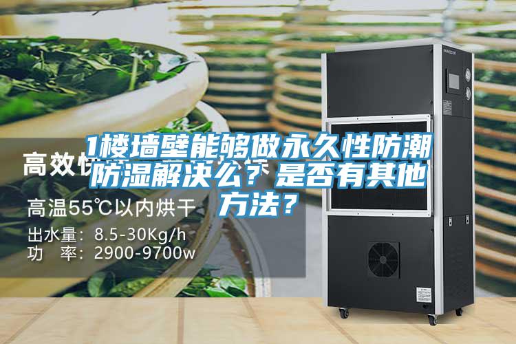 1樓墻壁能夠做永久性防潮防濕解決么？是否有其他方法？