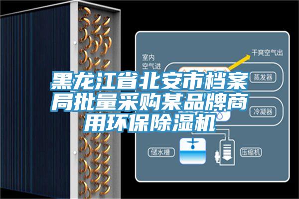 黑龍江省北安市檔案局批量采購某品牌商用環(huán)保除濕機