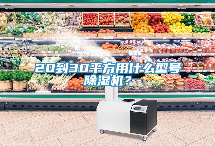 20到30平方用什么型號除濕機(jī)？