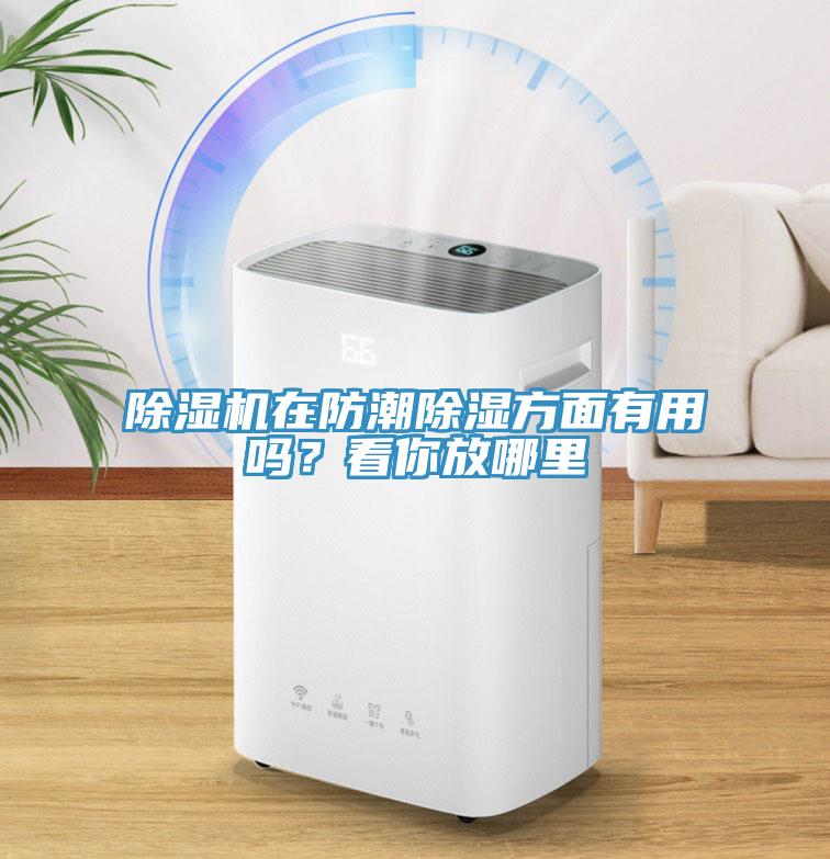 除濕機在防潮除濕方面有用嗎？看你放哪里