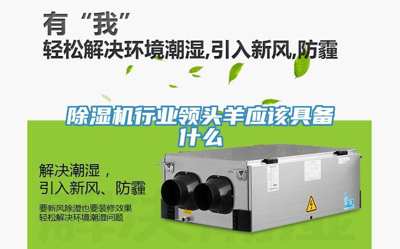 除濕機行業(yè)領頭羊應該具備什么