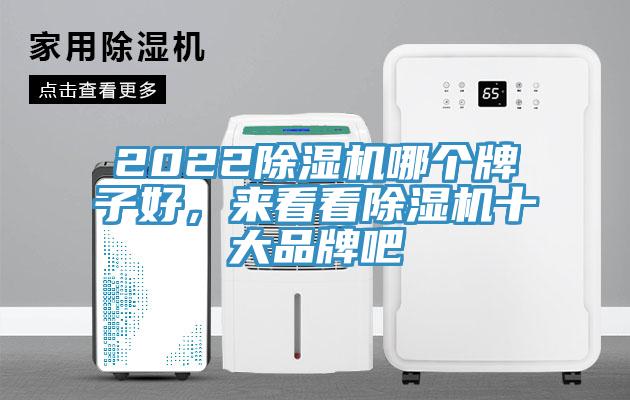 2022除濕機(jī)哪個(gè)牌子好，來看看除濕機(jī)十大品牌吧