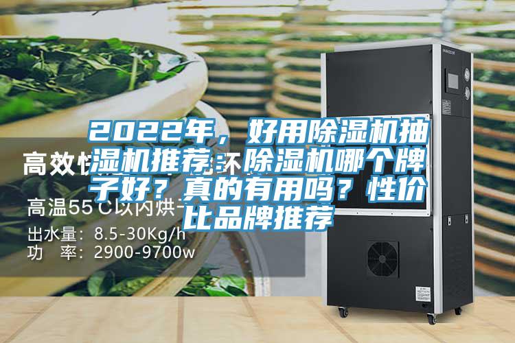 2022年，好用除濕機(jī)抽濕機(jī)推薦：除濕機(jī)哪個(gè)牌子好？真的有用嗎？性價(jià)比品牌推薦