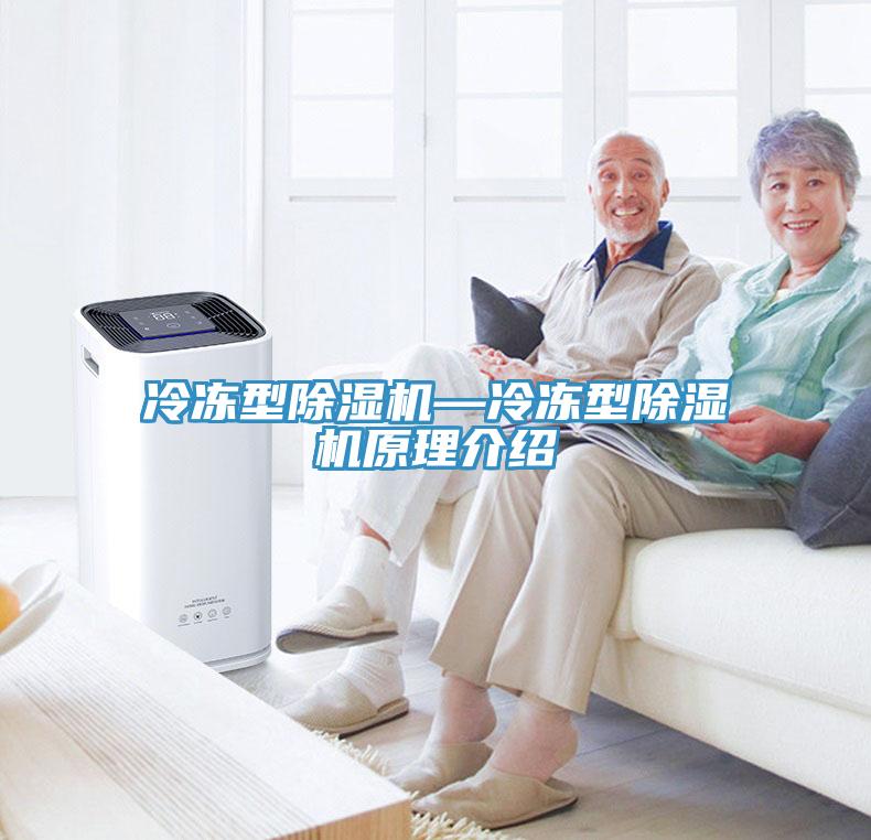 冷凍型除濕機(jī)—冷凍型除濕機(jī)原理介紹