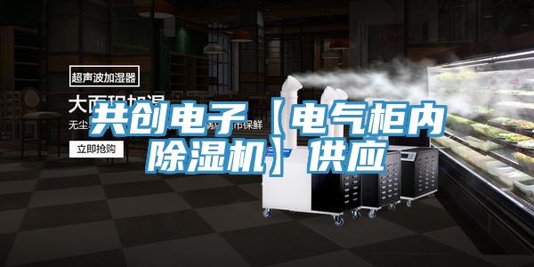 共創(chuàng)電子【電氣柜內(nèi)除濕機】供應(yīng)