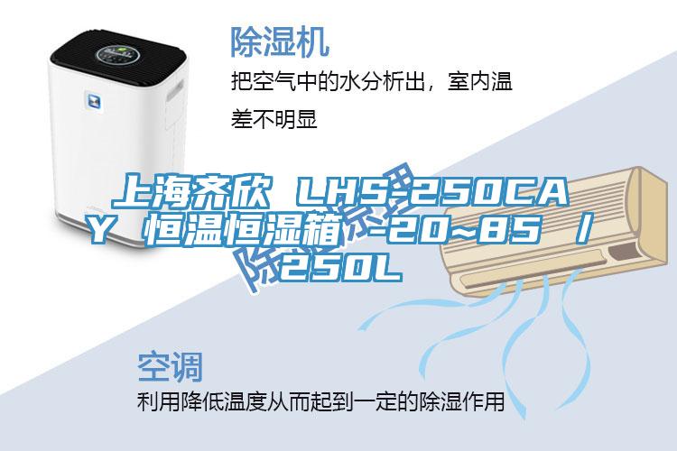 上海齊欣 LHS-250CAY 恒溫恒濕箱 -20~85℃／250L