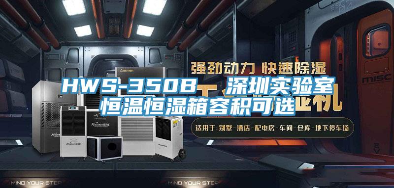 HWS-350B  深圳實驗室恒溫恒濕箱容積可選