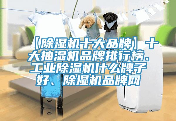 【除濕機(jī)十大品牌】十大抽濕機(jī)品牌排行榜、工業(yè)除濕機(jī)什么牌子好、除濕機(jī)品牌網(wǎng)