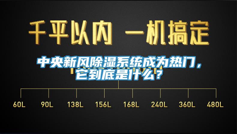 中央新風(fēng)除濕系統(tǒng)成為熱門，它到底是什么？