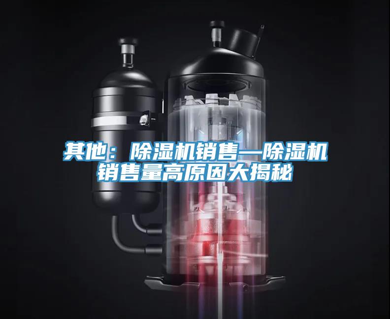 其他：除濕機(jī)銷售—除濕機(jī)銷售量高原因大揭秘