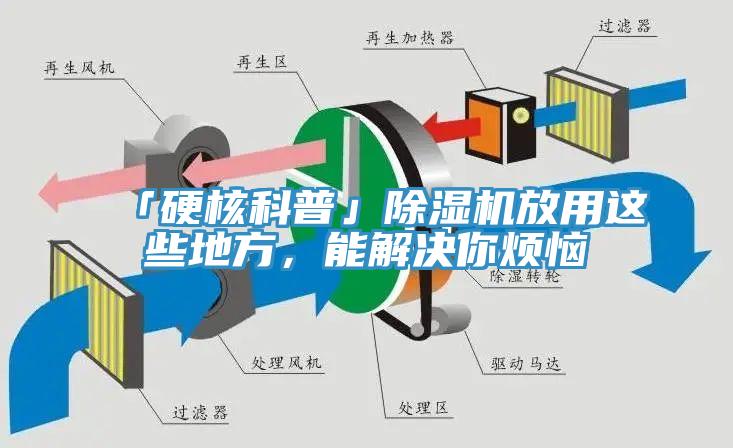 「硬核科普」除濕機放用這些地方，能解決你煩惱