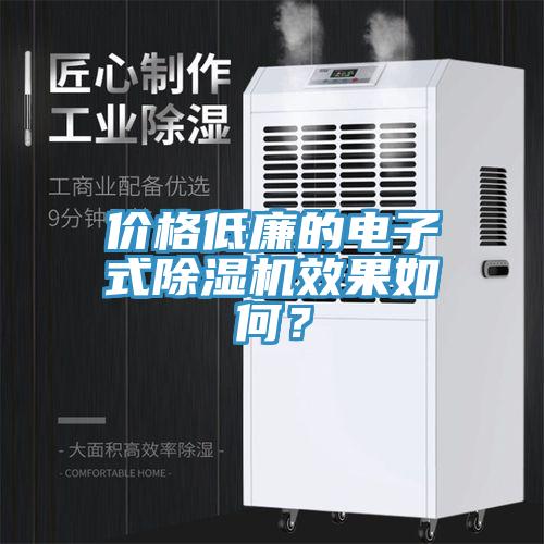 價(jià)格低廉的電子式除濕機(jī)效果如何？