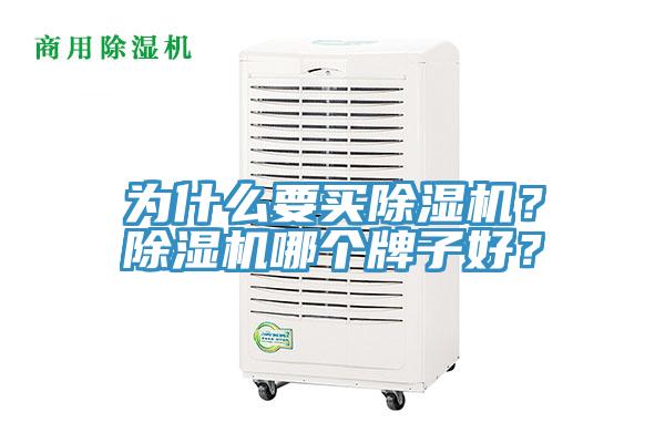 為什么要買(mǎi)除濕機(jī)？除濕機(jī)哪個(gè)牌子好？