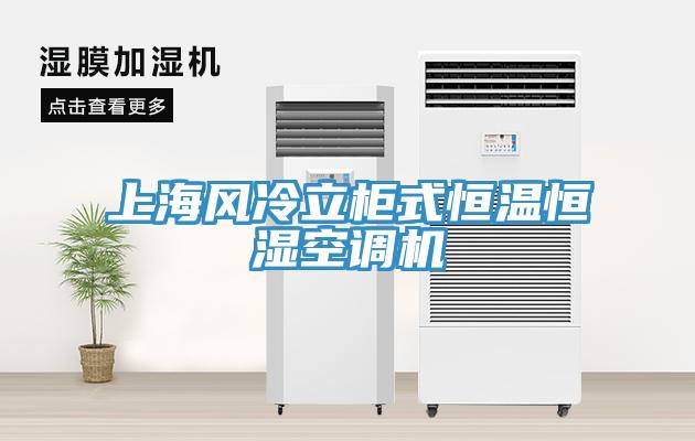 上海風冷立柜式恒溫恒濕空調(diào)機