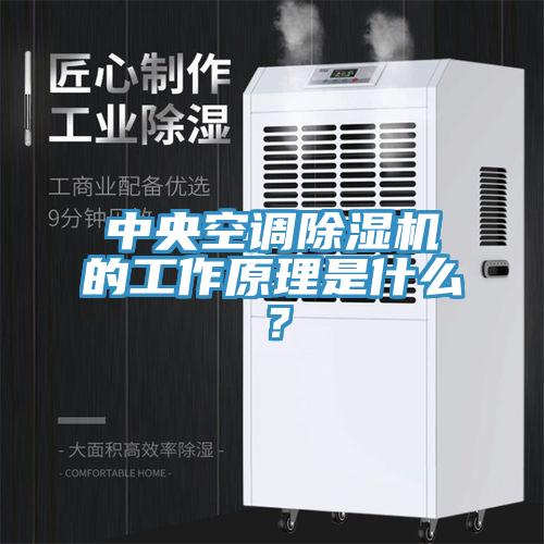 中央空調(diào)除濕機(jī)的工作原理是什么？