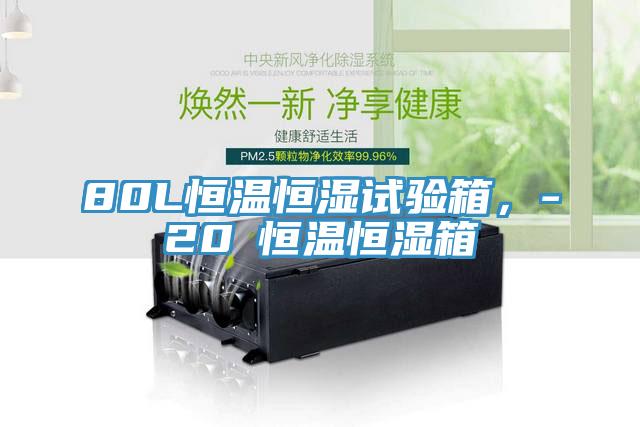 80L恒溫恒濕試驗(yàn)箱，-20℃恒溫恒濕箱