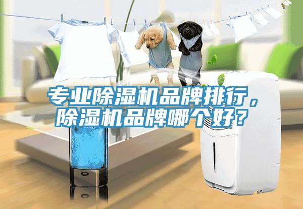 專業(yè)除濕機品牌排行，除濕機品牌哪個好？