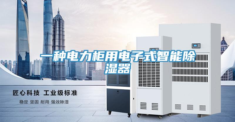 一種電力柜用電子式智能除濕器