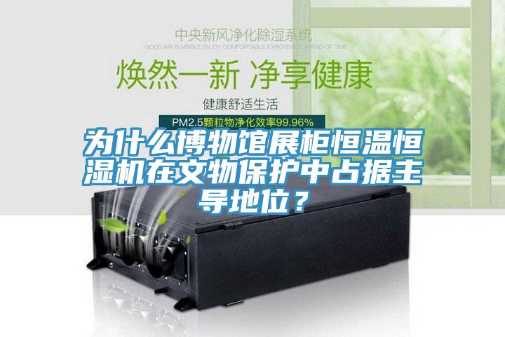 為什么博物館展柜恒溫恒濕機在文物保護中占據主導地位？