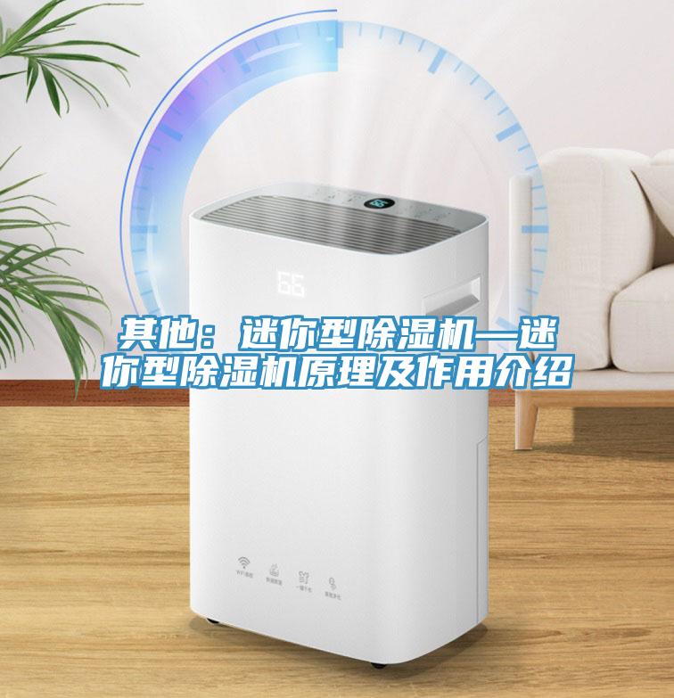 其他：迷你型除濕機—迷你型除濕機原理及作用介紹