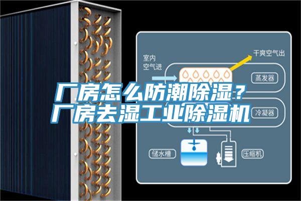 廠房怎么防潮除濕？廠房去濕工業(yè)除濕機