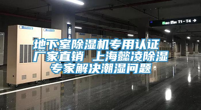 地下室除濕機(jī)專用認(rèn)證 廠家直銷 上海懿凌除濕專家解決潮濕問(wèn)題