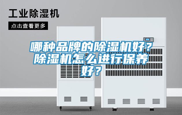 哪種品牌的除濕機好？除濕機怎么進行保養(yǎng)好？