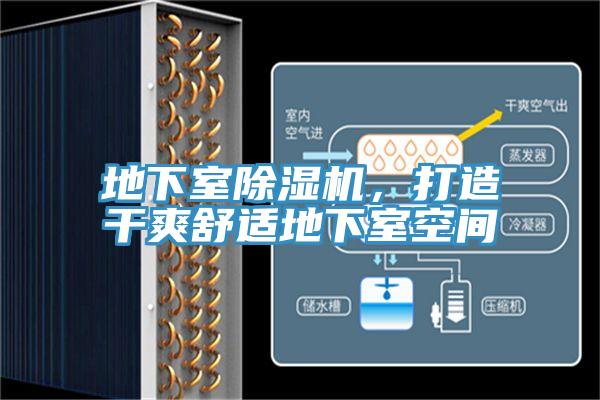 地下室除濕機(jī)，打造干爽舒適地下室空間
