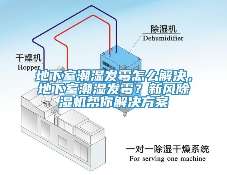 地下室潮濕發(fā)霉怎么解決，地下室潮濕發(fā)霉？新風(fēng)除濕機(jī)幫你解決方案